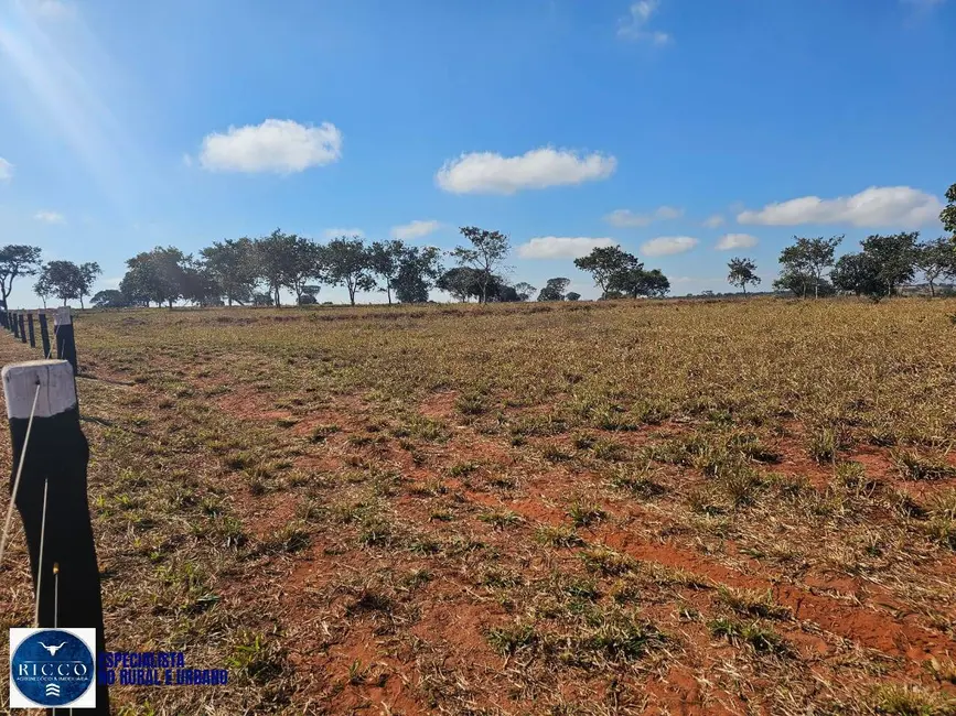 Foto 2 de Fazenda / Haras à venda, 305m2 em Bom Jardim De Minas - MG