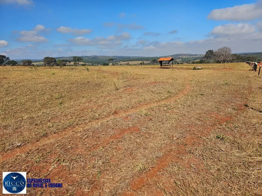 Foto 9 de Fazenda / Haras à venda, 305m2 em Bom Jardim De Minas - MG