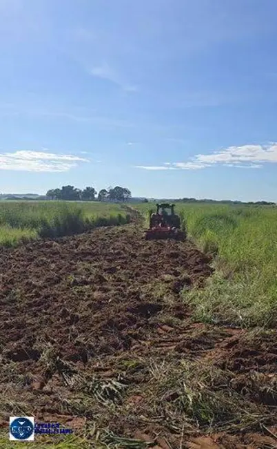 Foto 6 de Fazenda / Haras à venda, 97m2 em Área Rural de Anápolis, Anapolis - GO