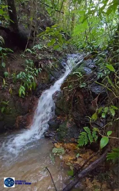Foto 4 de Fazenda / Haras à venda, 97m2 em Área Rural de Anápolis, Anapolis - GO