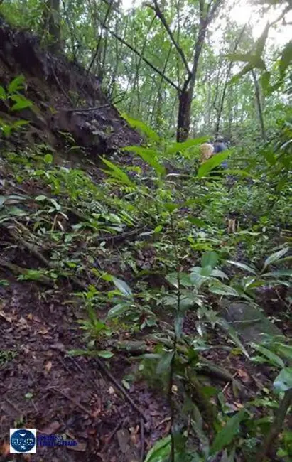 Foto 5 de Fazenda / Haras à venda, 97m2 em Área Rural de Anápolis, Anapolis - GO