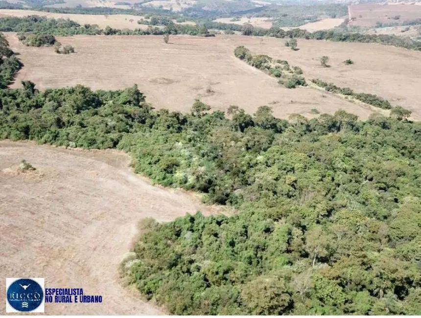 Foto 7 de Fazenda / Haras com 2 quartos à venda, 75m2 em Silvania - GO