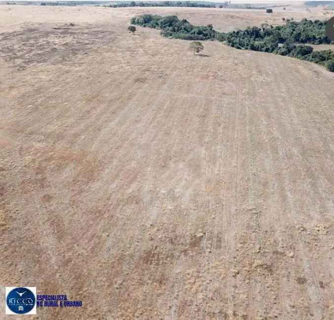 Foto 5 de Fazenda / Haras com 2 quartos à venda, 75m2 em Silvania - GO