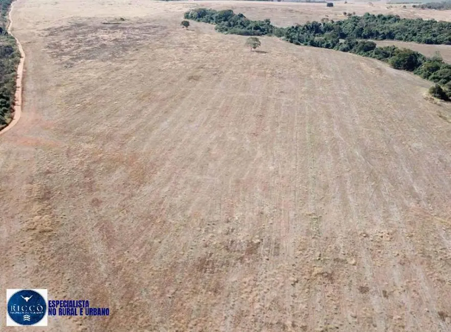 Foto 3 de Fazenda / Haras com 2 quartos à venda, 75m2 em Silvania - GO