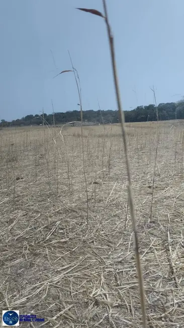 Foto 2 de Fazenda / Haras com 2 quartos à venda, 75m2 em Silvania - GO