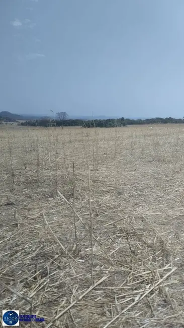 Foto 4 de Fazenda / Haras com 2 quartos à venda, 75m2 em Silvania - GO