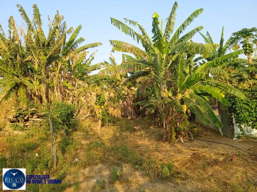 Foto 4 de Chácara com 3 quartos à venda, 11m2 em Silvania - GO