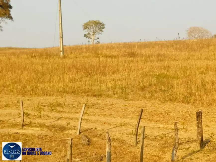 Foto 7 de Chácara com 3 quartos à venda, 11m2 em Silvania - GO