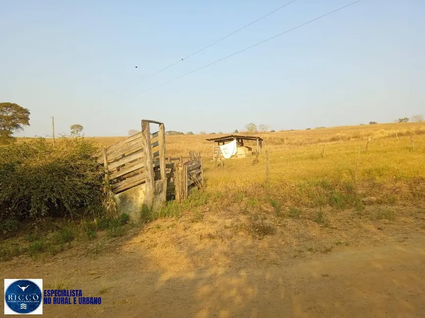 Foto 6 de Chácara com 3 quartos à venda, 11m2 em Silvania - GO