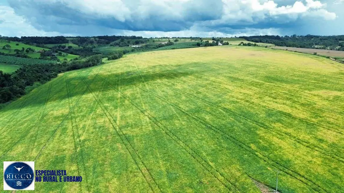 Foto 6 de Fazenda / Haras com 6 quartos à venda, 132m2 em Área Rural de Anápolis, Anapolis - GO