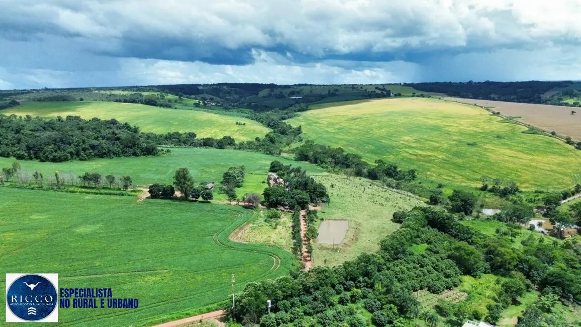 Foto 1 de Fazenda / Haras com 6 quartos à venda, 132m2 em Área Rural de Anápolis, Anapolis - GO