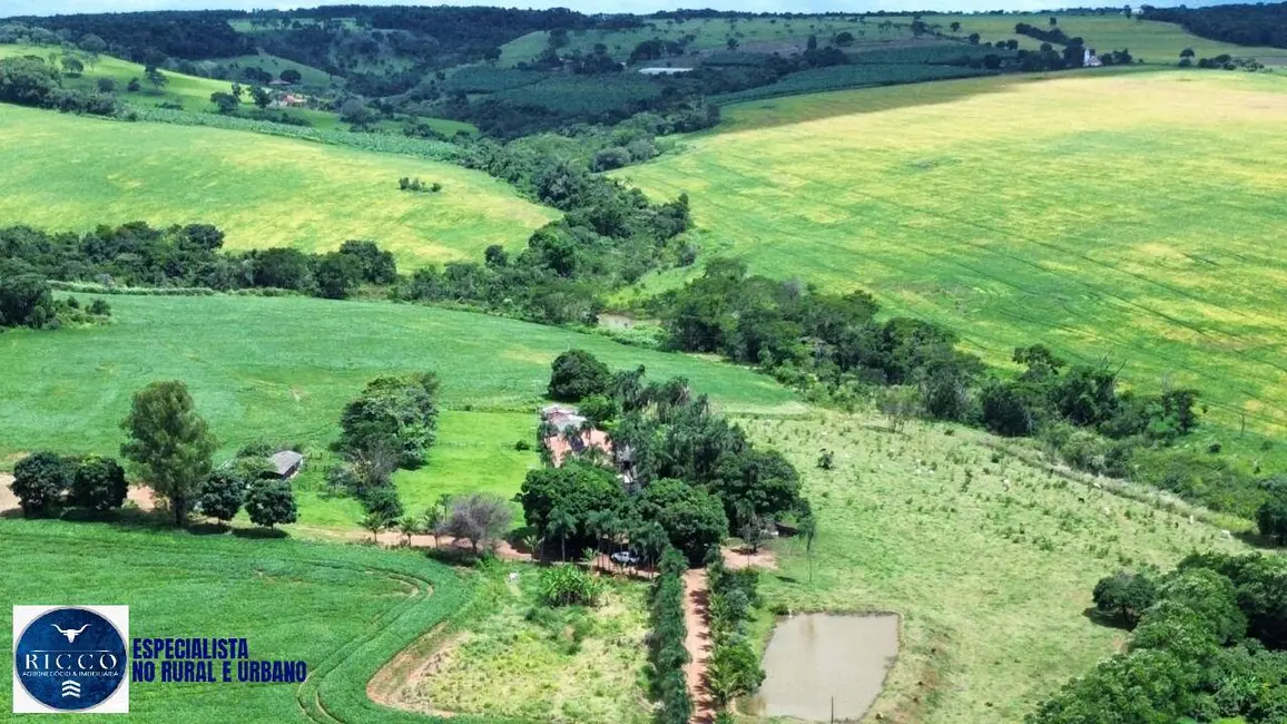 Foto 3 de Fazenda / Haras com 6 quartos à venda, 132m2 em Área Rural de Anápolis, Anapolis - GO