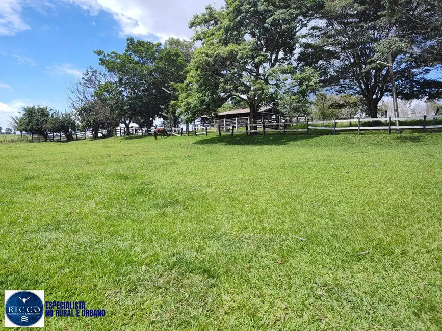 Foto 5 de Fazenda / Haras com 6 quartos à venda, 132m2 em Área Rural de Anápolis, Anapolis - GO
