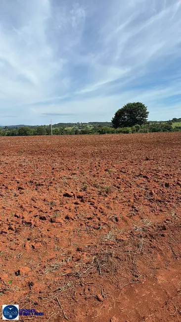 Foto 6 de Chácara à venda, 32m2 em Sao Luis De Montes Belos - GO
