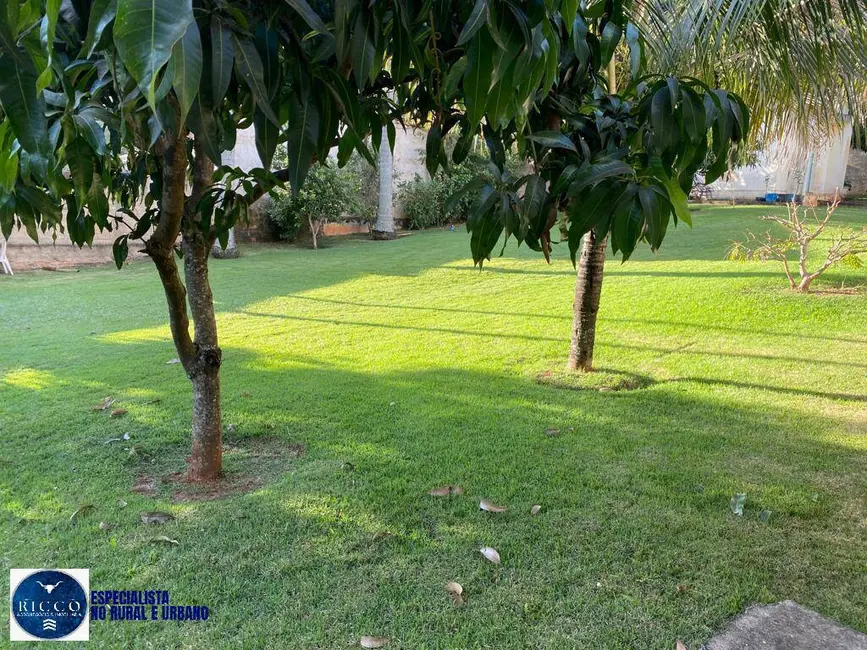 Foto 5 de Chácara com 4 quartos à venda, 8000m2 em Chácaras de Recreio São Joaquim, Goiania - GO