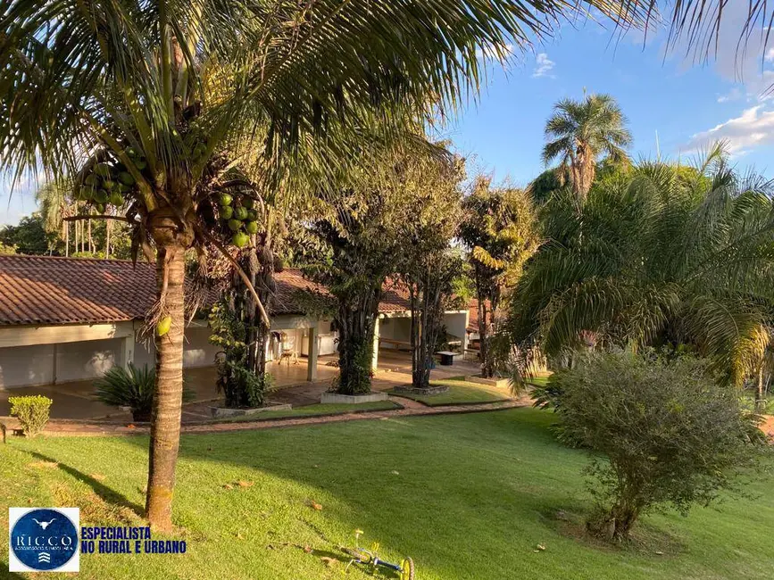 Foto 6 de Chácara com 4 quartos à venda, 8000m2 em Chácaras de Recreio São Joaquim, Goiania - GO