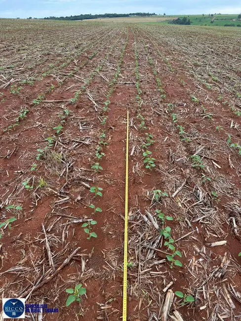 Foto 4 de Fazenda / Haras com 6 quartos à venda, 29m2 em Piracanjuba - GO