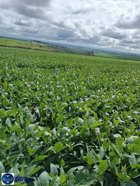 Foto 1 de Fazenda / Haras com 6 quartos à venda, 29m2 em Piracanjuba, GO