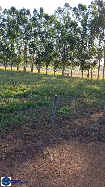 Foto 1 de Fazenda / Haras com 6 quartos à venda, 29m2 em Piracanjuba - GO