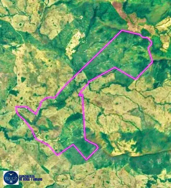 Foto 3 de Fazenda / Haras com 4 quartos à venda, 260m2 em Crixas - GO