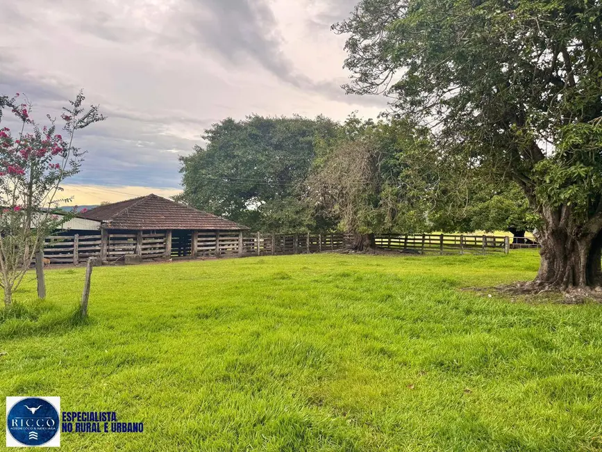 Foto 1 de Fazenda / Haras com 4 quartos à venda, 260m2 em Crixas - GO