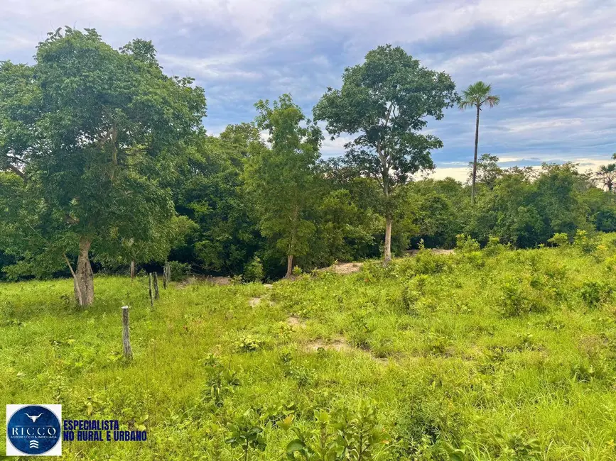 Foto 8 de Fazenda / Haras com 4 quartos à venda, 260m2 em Crixas - GO