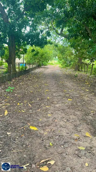 Foto 9 de Fazenda / Haras com 4 quartos à venda, 260m2 em Crixas - GO