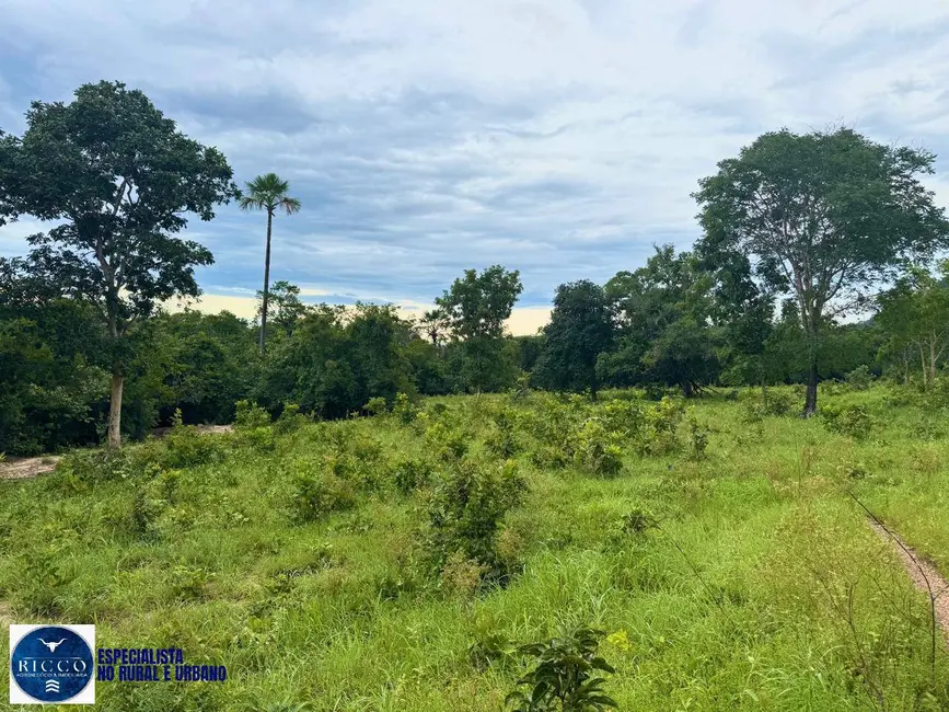 Foto 7 de Fazenda / Haras com 4 quartos à venda, 260m2 em Crixas - GO
