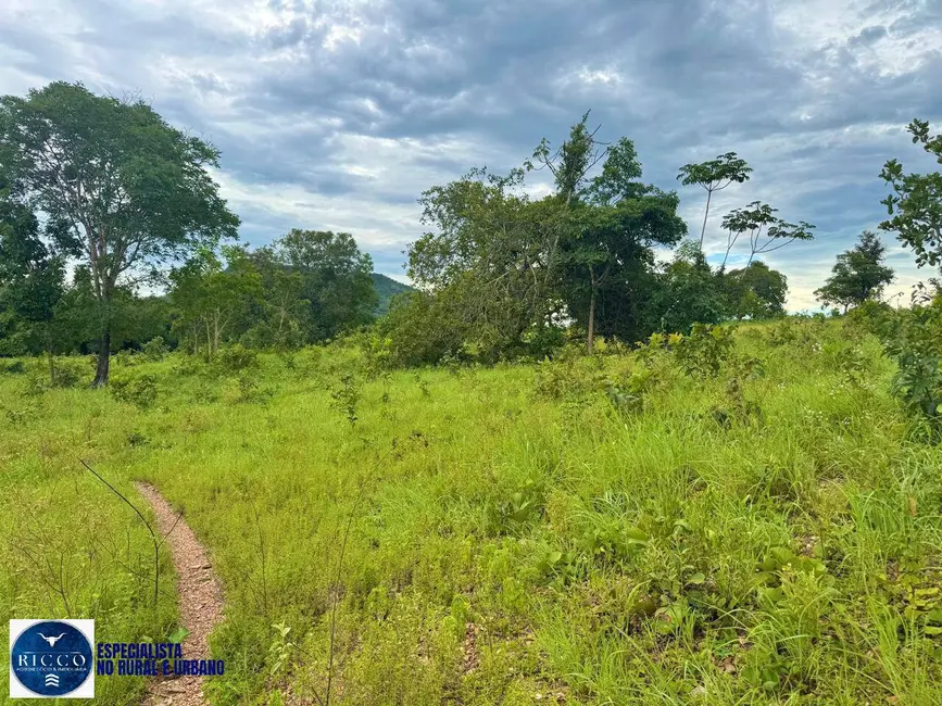 Foto 6 de Fazenda / Haras com 4 quartos à venda, 260m2 em Crixas - GO