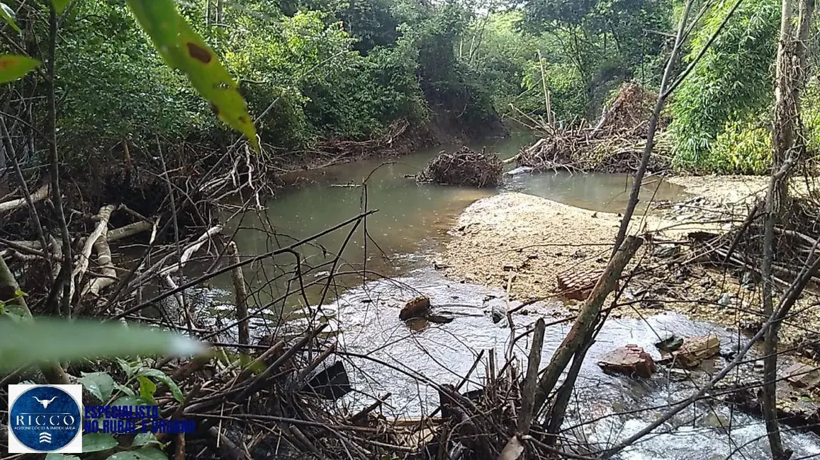 Foto 3 de Fazenda / Haras com 3 quartos à venda, 1188m2 em Uruacu - GO