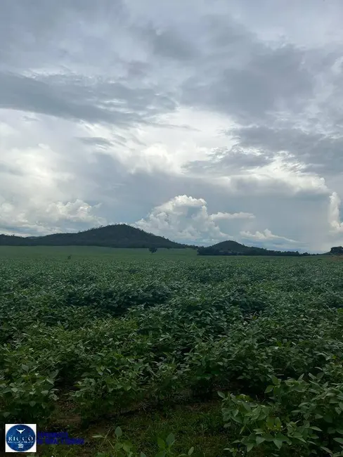 Foto 6 de Fazenda / Haras com 3 quartos à venda, 1188m2 em Uruacu - GO
