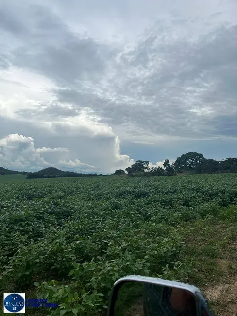 Foto 7 de Fazenda / Haras com 3 quartos à venda, 1188m2 em Uruacu - GO