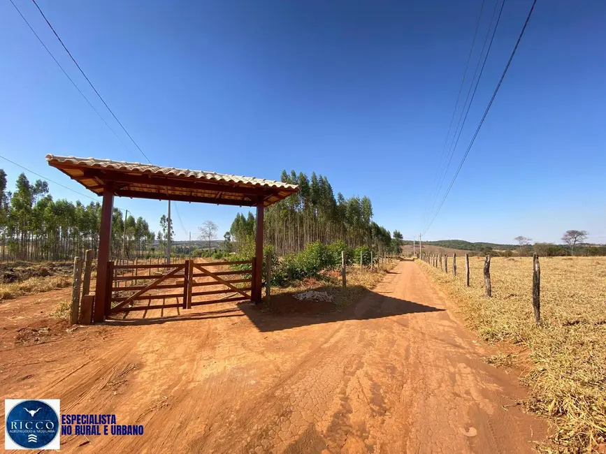 Foto 7 de Chácara com 2 quartos à venda, 20000m2 em Bonfinopolis - GO