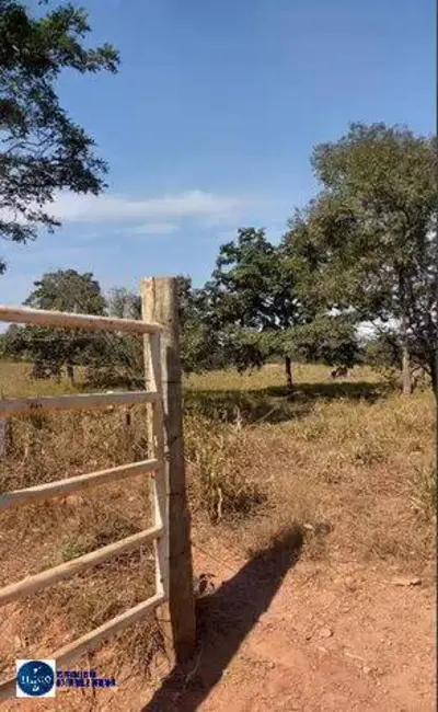 Foto 4 de Sítio / Rancho à venda, 13m2 em Rubiataba - GO