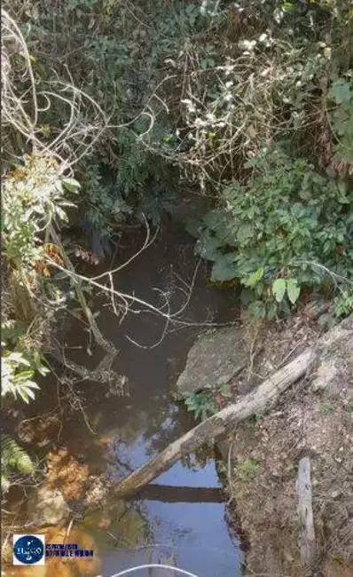 Foto 3 de Sítio / Rancho à venda, 13m2 em Rubiataba - GO