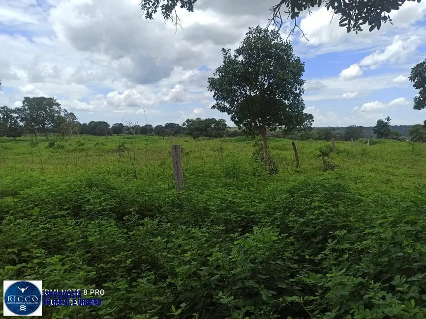 Foto 9 de Fazenda / Haras com 1 quarto à venda, 84m2 em Amorinopolis - GO