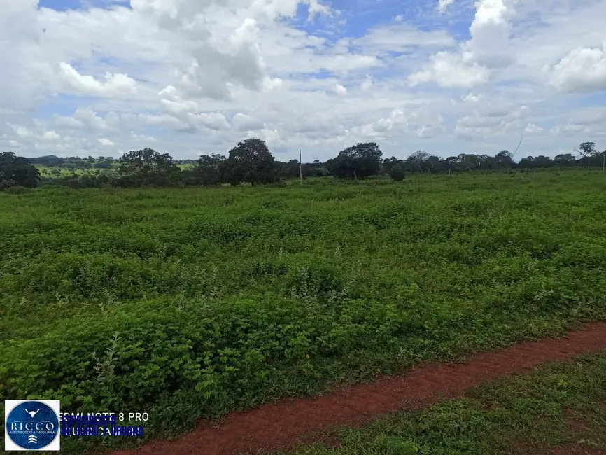 Foto 2 de Fazenda / Haras com 1 quarto à venda, 84m2 em Amorinopolis - GO