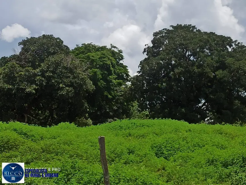 Foto 3 de Fazenda / Haras com 1 quarto à venda, 84m2 em Amorinopolis - GO