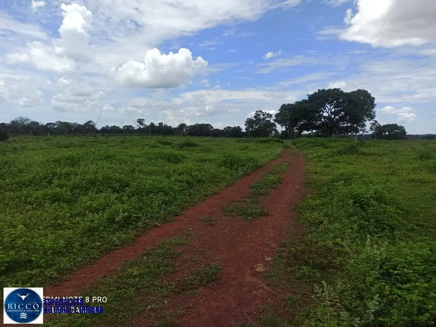 Foto 5 de Fazenda / Haras com 1 quarto à venda, 84m2 em Amorinopolis - GO