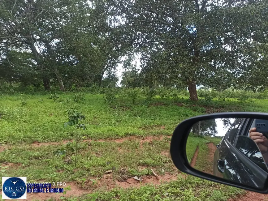 Foto 6 de Fazenda / Haras com 1 quarto à venda, 84m2 em Amorinopolis - GO