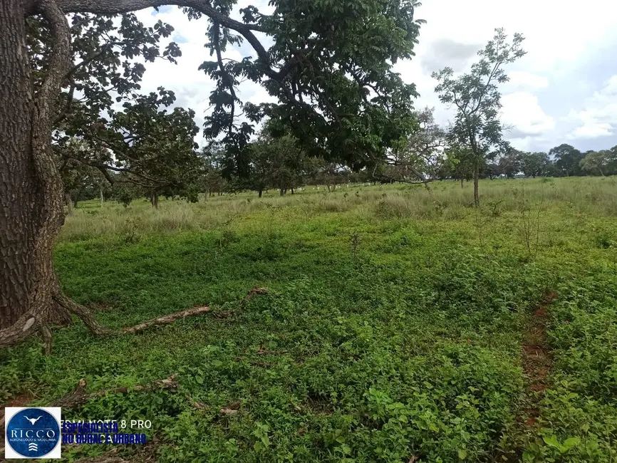 Foto 7 de Fazenda / Haras com 1 quarto à venda, 84m2 em Amorinopolis - GO