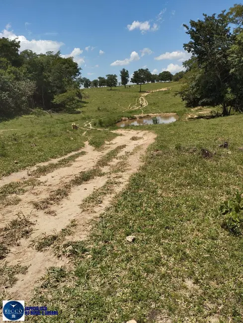 Foto 1 de Fazenda / Haras com 4 quartos à venda, 18m2 em Campestre De Goias - GO