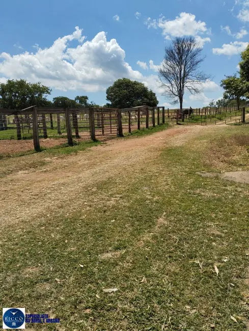 Foto 2 de Fazenda / Haras com 4 quartos à venda, 18m2 em Campestre De Goias - GO