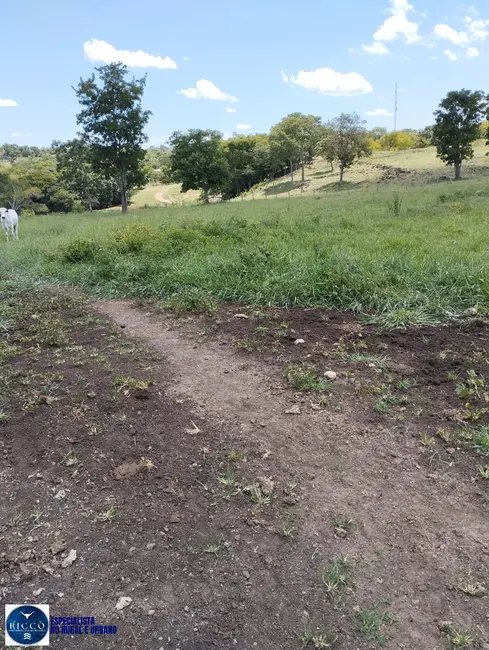 Foto 8 de Fazenda / Haras com 4 quartos à venda, 18m2 em Campestre De Goias - GO