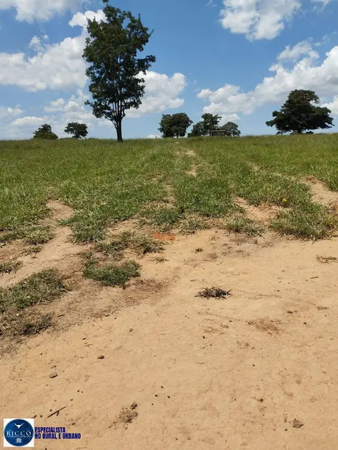 Foto 7 de Fazenda / Haras com 4 quartos à venda, 18m2 em Campestre De Goias - GO