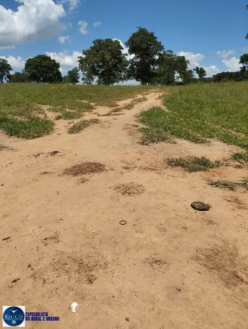 Foto 6 de Fazenda / Haras com 4 quartos à venda, 18m2 em Campestre De Goias - GO