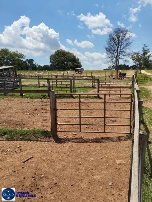 Foto 4 de Fazenda / Haras com 4 quartos à venda, 18m2 em Campestre De Goias - GO