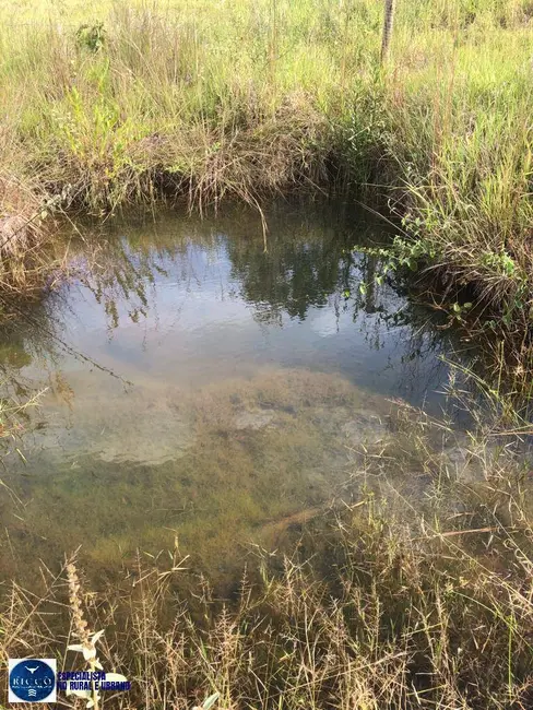 Foto 7 de Chácara com 2 quartos à venda, 3000m2 em Bela Vista De Goias - GO
