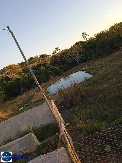 Foto 1 de Chácara com 2 quartos à venda, 3000m2 em Bela Vista De Goias - GO