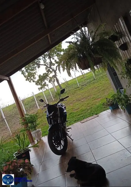 Foto 9 de Chácara com 2 quartos à venda, 3000m2 em Bela Vista De Goias - GO